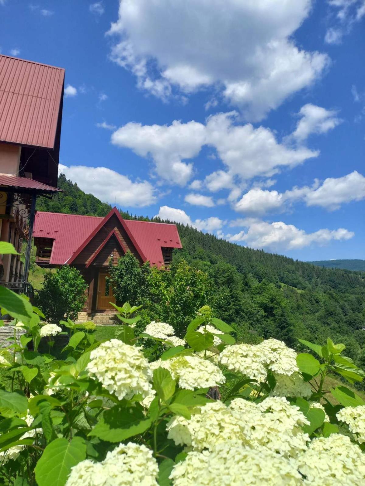 Cottage "Karpatske Shale" Yaremche Exterior photo